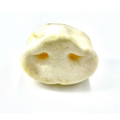 Picture of JR PETS PUFFED Single Pork Snouts